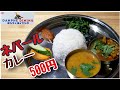 500円ネパールカレー/ダルバート ダンフェダイニング Nepali Restaurant Danphe Dining