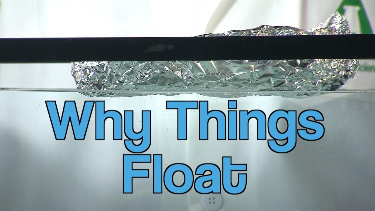 Why Things Float A Moment Of Science Pbs