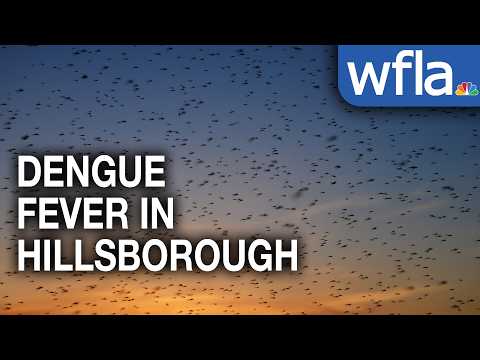 HIllsborough residents concerned about dengue fever.