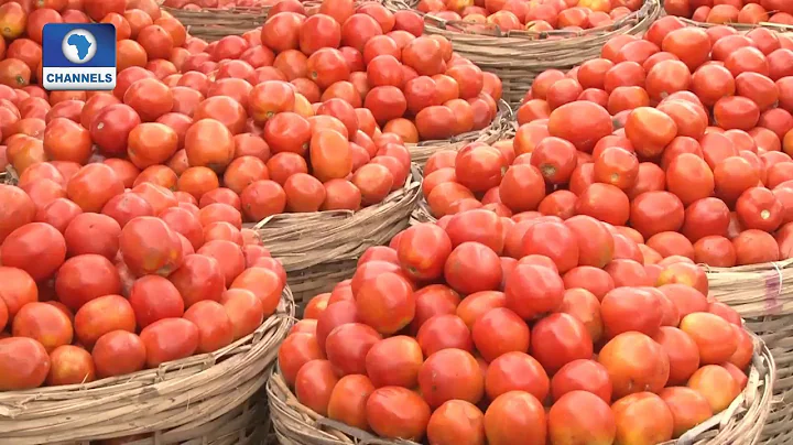 Focus On Mile 12 Market, Lagos Pt.2 |Community Report|