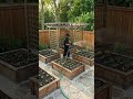 From Empty Beds to a Thriving Garden Transformation!