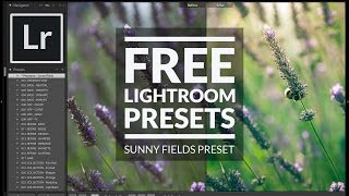 Free Lightroom Preset - Download 'Sunny Fields' Now!