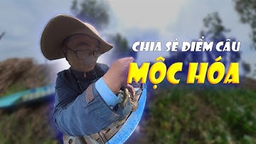 Chia sẻ điểm câu| Điểm câu Mộc Hóa| Câu cá rô đồng| Anh Béo Câu Cá| Fishing videos