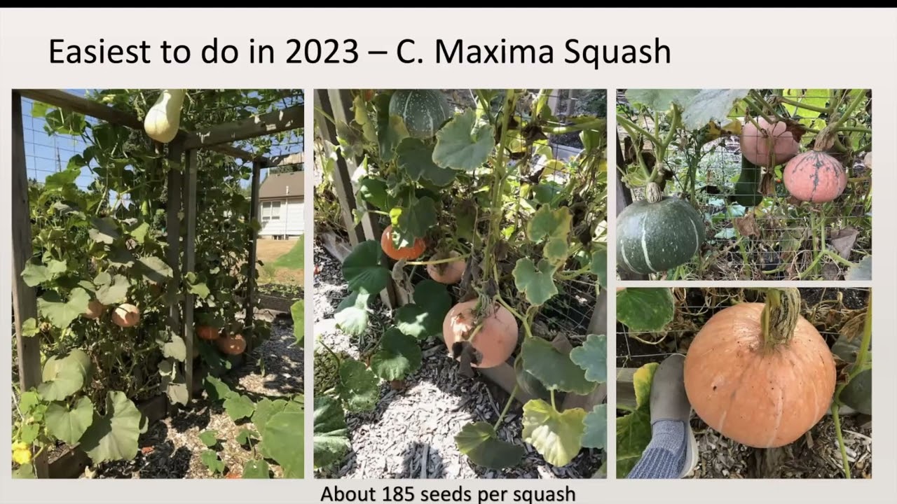Grow a Row Skillshare #2