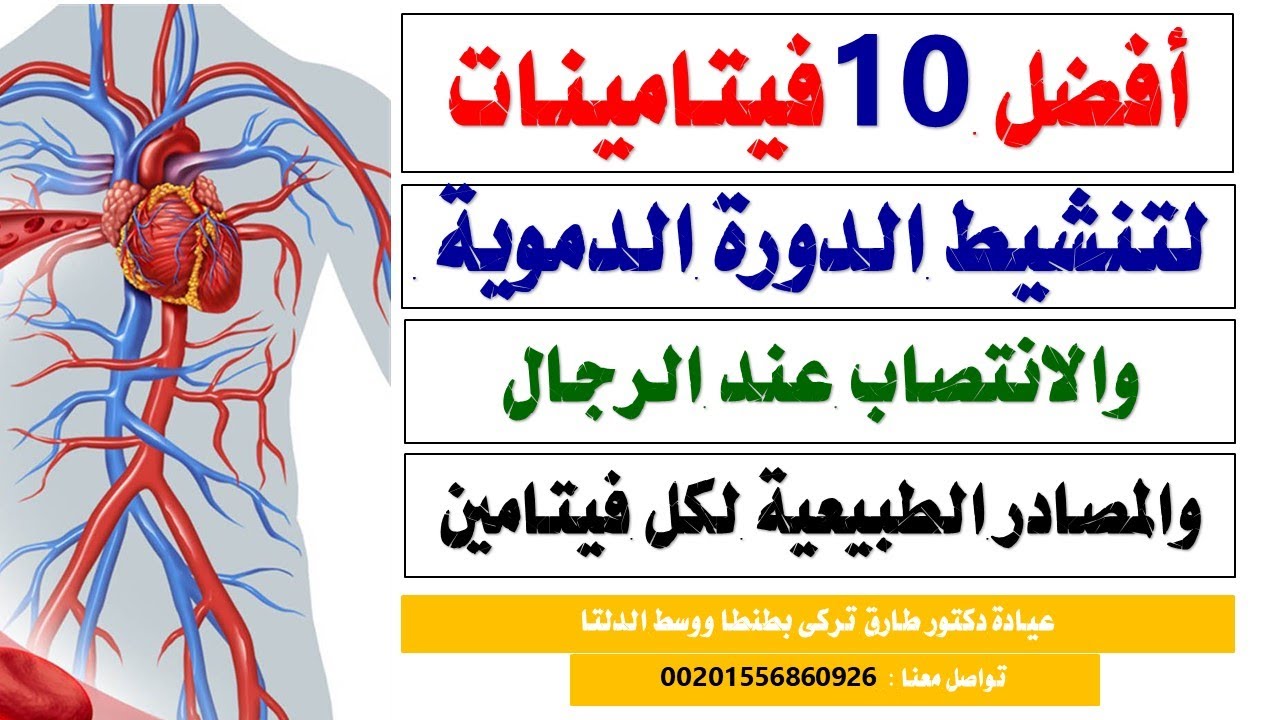 افضل 10 فيتامينات لتنشيط الدورة الدموية و ضعف الانتصاب و المصادر الطبيعية لكل فيتامين