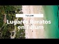 Lugares baratos en Tulum, Riviera Maya || Voluntariado #6