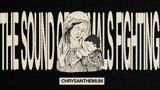 The Sound of Animals Fighting - Chrysanthemum