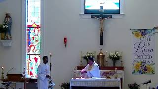 5th Sunday of Easter