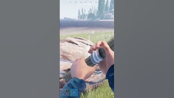 Interesting #shorts #rust #rustconsole #rustconsoleedition #glitch