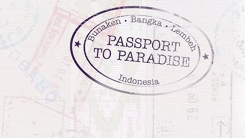 Passport to Paradise - Bunaken, Bangka, and Lembeh