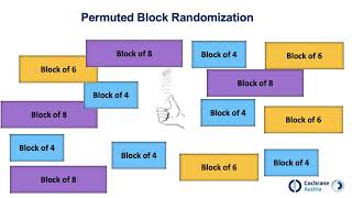 Randomization (random allocation)