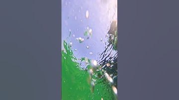 bella ciao playground parkour waterslide 😱 POV