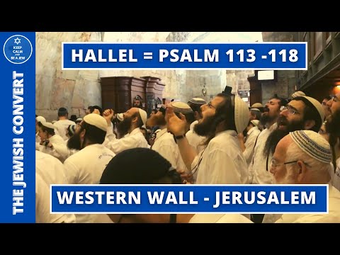 Hallel at the Western Wall