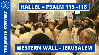 HALLEL at The Western Wall | Psalm 113-118 | English Subtitles | JEWISH CELEBRATIONS