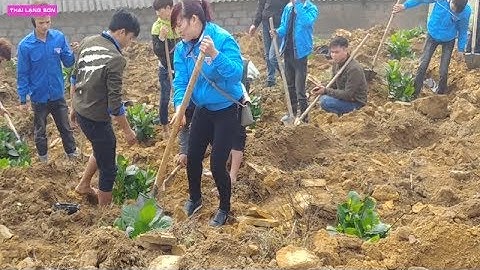 NHÌN EM GÁI TÀY TRỒNG HOA CẨM TÚ CẦU TRÊN ĐỈNH MẪU SƠN LẠNG SƠN Thai Lạng Sơn