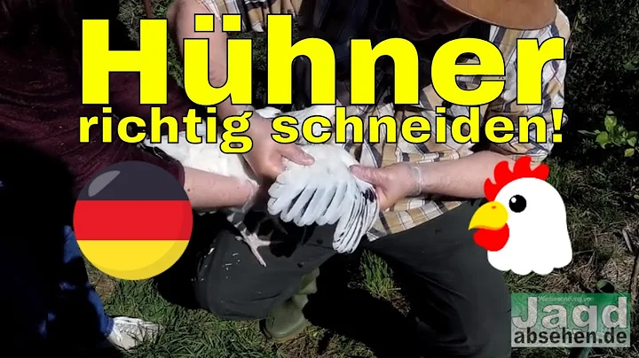 so stutzt man einem huhn den flgel als selbstverso...