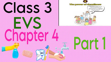 Class 3 EVS Chapter 4 | The Power of Cleanliness | Explanation & Activities#evs#class3
