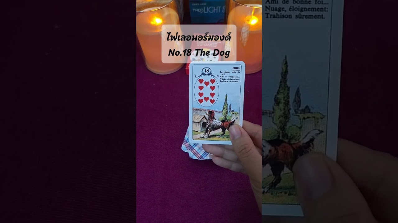 ความหมายของไพ่ Dog #สอนไพ่ #สอนดูดวง #lenormand #เลอนอร์มองด์ #lenormandreadings