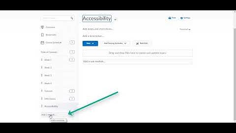 D2L ACCESSIBLE WEB PAGES USING THE BUILT-IN HTML EDITOR