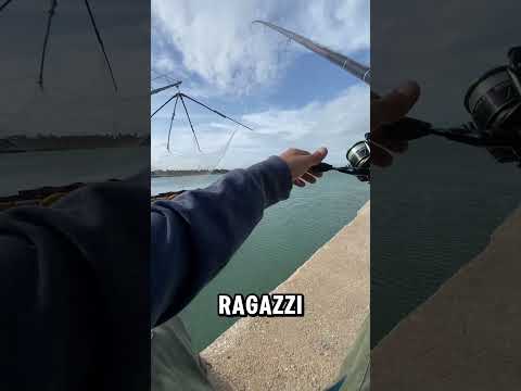 Una bella pescata