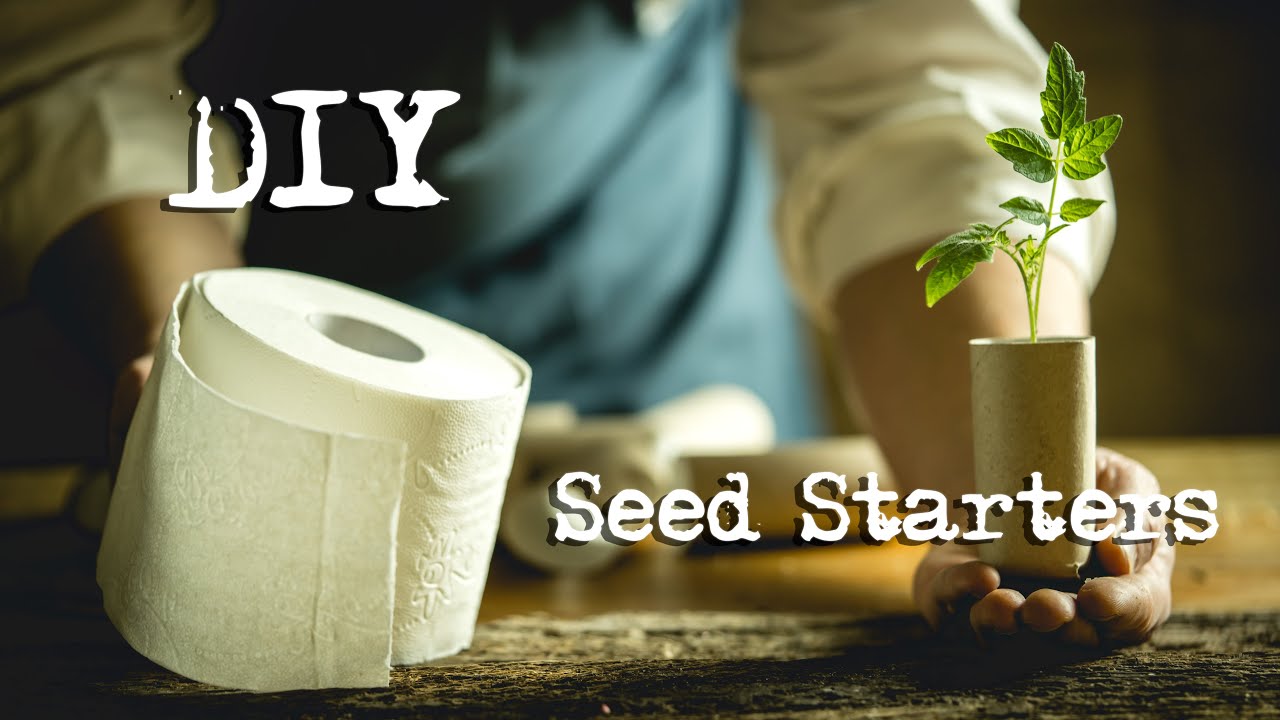 How to Use Empty Toilet Paper Rolls as Compostable Seed-Starters