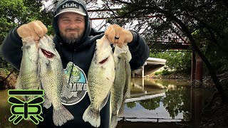 We LOADED up on CRAPPIE from the minute I got there‼️[CREEK FISHING]