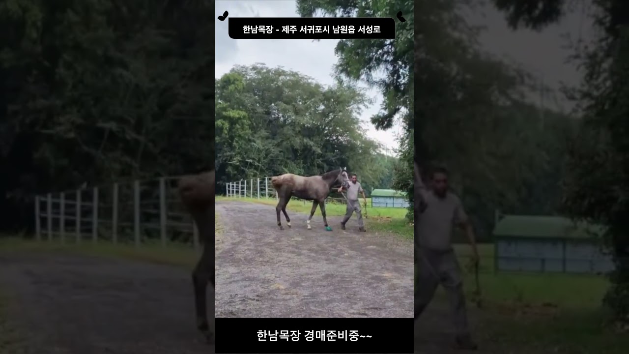 한남목장 경매 준비중~~