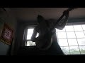 Jam CHRONICles "molotovs turn to thermite drones" ( #helix #podgo #marshall pillars das benzin lead)
