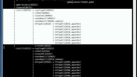 openvz-introduction.avi
