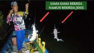 Mancing di Muara, Dapat Ikan Sama Jenis Beda Warna, Sama' berbisa..