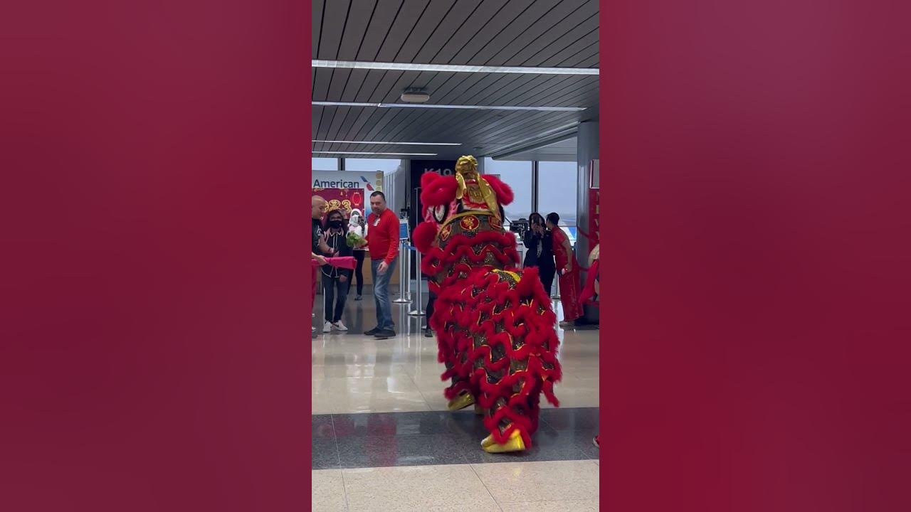 chinese new year festival chicago