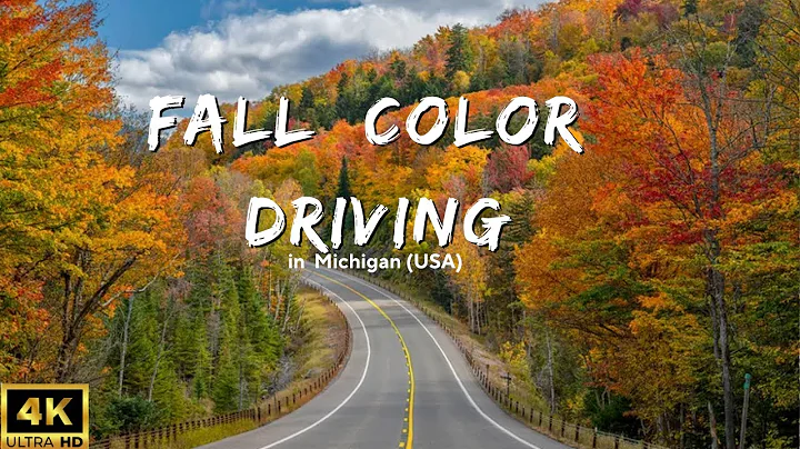 Fall Color Driving |Autumn Views & Peaceful Music for Focus and Relaxing#youtube