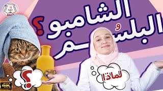 هل الطريقة التي نستخدم فيها الشامبو ثم البلسم صحيحة أم هناك طرق أخرى؟ وهل البلسم ضروري؟