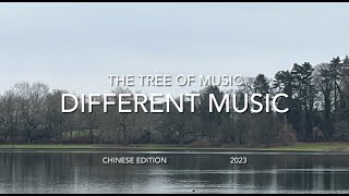 Different  music (Chinese edition) #music #chinesemusic  @TheTreeofMusic