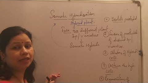 Plant Biotechnology 1 (somatic hybridization)