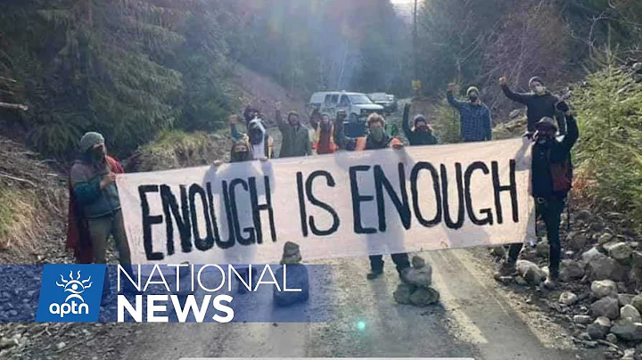 The fight over Fairy Creek on Vancouver Island intensifies after an injunction granted | APTN News