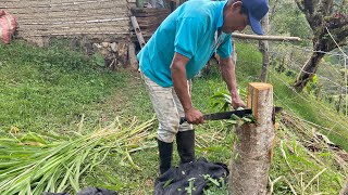 COMO hacer UNA Picadora de PASTO artesanal