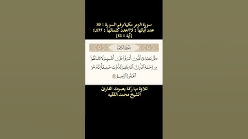 سورة الزمر، [آية: 53] تلاوة خاشعة بصوت القارئ الشيخ محمد الفقيه