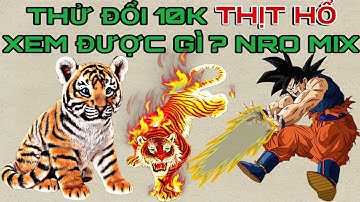 Ngọc Rồng Mix Commutity - Chơi Sự Kiện Pet Thử Đổi 10K Thịt Hổ Xem Được Gì? - Tờ Nú Gaming