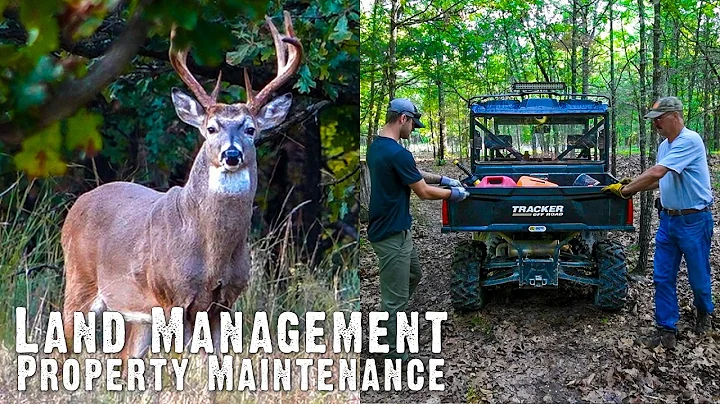How to Improve a Hunting Property During the Summer | Land Management Part 4