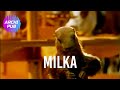 Publicit chocolat milka et la marmotte   1998