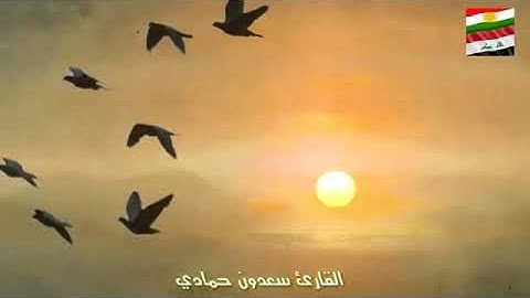تلاوة رائعة سعدون حمادي