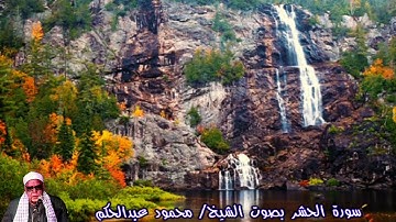 سورة الحشر بصوت الشيخ/ محمود عبدالحكم - Surat Al Hashr