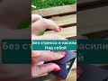 @Стройнеть теперь легче.Снизить вес самостоятельно.