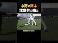 後の最多安打と本塁打王の戯れ