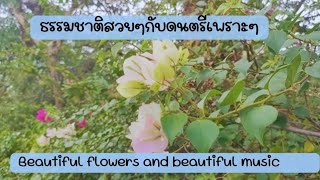 🌳ต้นไม้ดอกไม้ในสวน flowers in garden☘️🪻🌷 🕊️🍃🐦🌿🌳