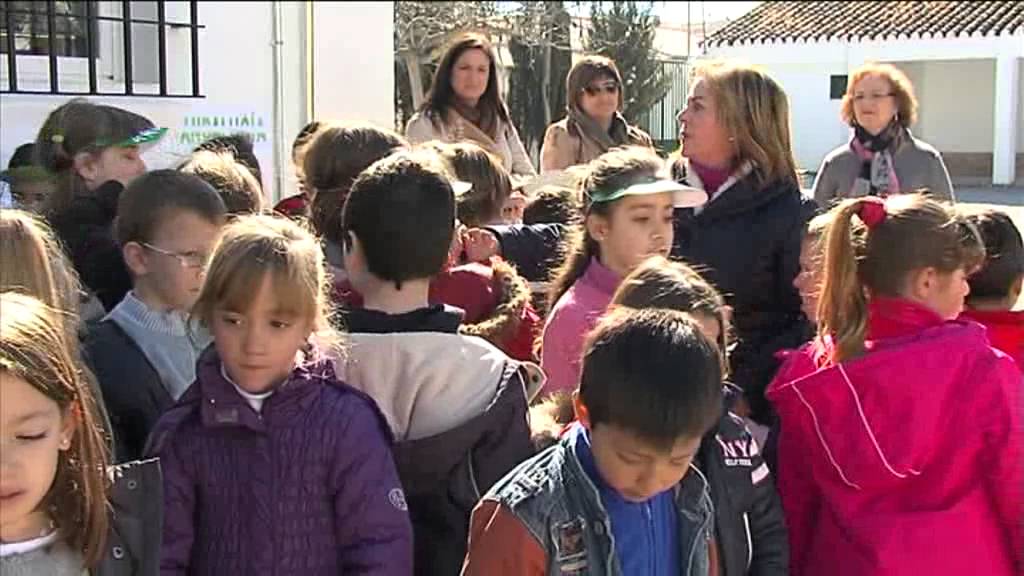 ACTO DÍA DE ANDALUCÍA 2013 COLEGIO EL CHAPARRAL