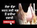 15 ਦਿਨ ਵਿੱਚ ਨਤੀਜੇ ਸ਼ੁਰੂ |