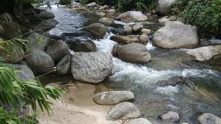 1 HOUR of the Most Relaxing & Peaceful Water Stream / White Noise / Sleep Fast / Stress Relief