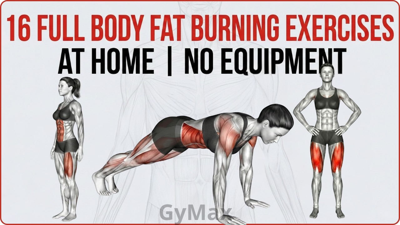 16 Full Body Fat Burning Exercises at Home | No Equipment - YouTube